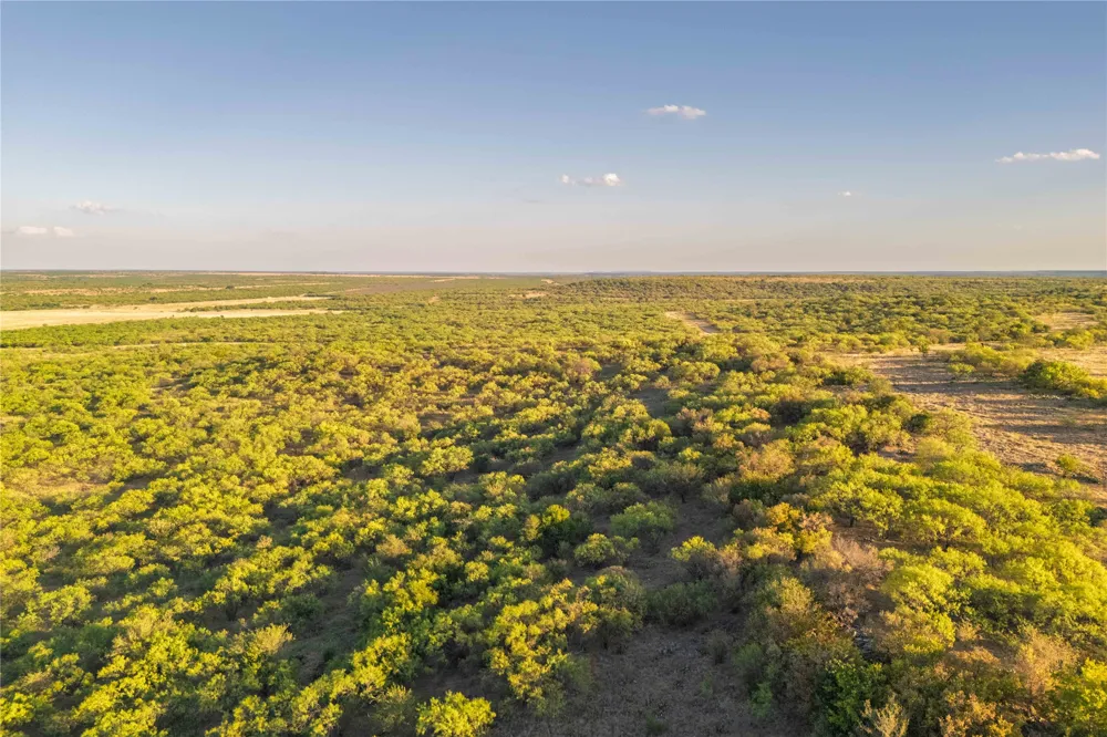 County Road 277 Baird, TX 79504