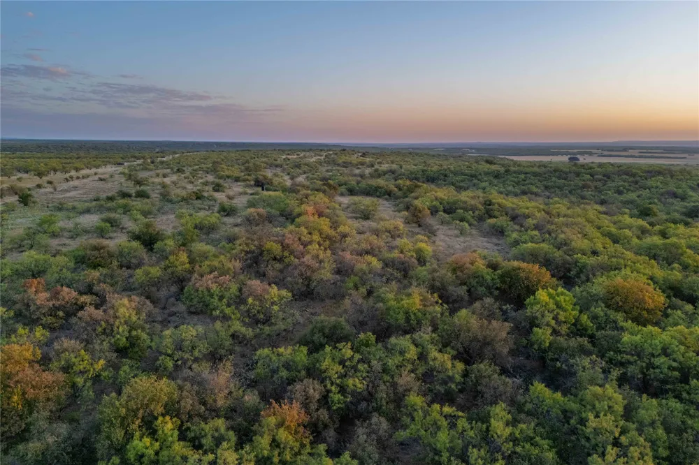 County Road 277 Baird, TX 79504