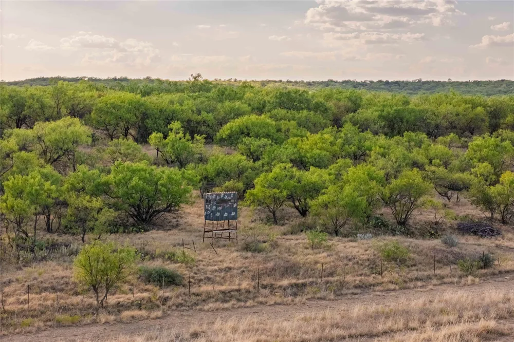 County Road 277 Baird, TX 79504