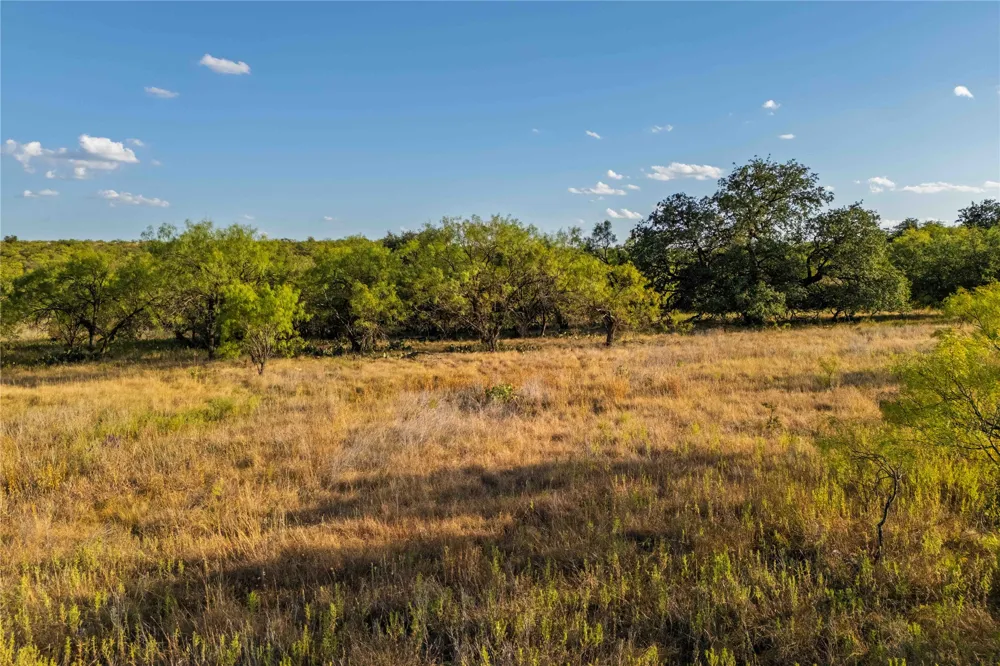 County Road 277 Baird, TX 79504