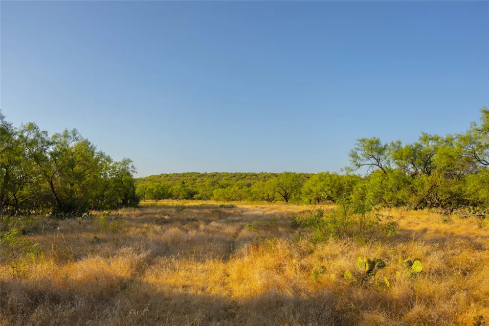 County Road 277 Baird, TX 79504