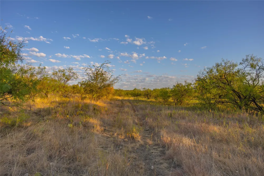 County Road 277 Baird, TX 79504