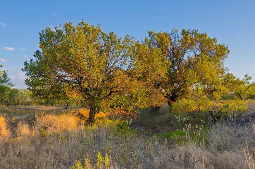 County Road 277 Baird, TX 79504