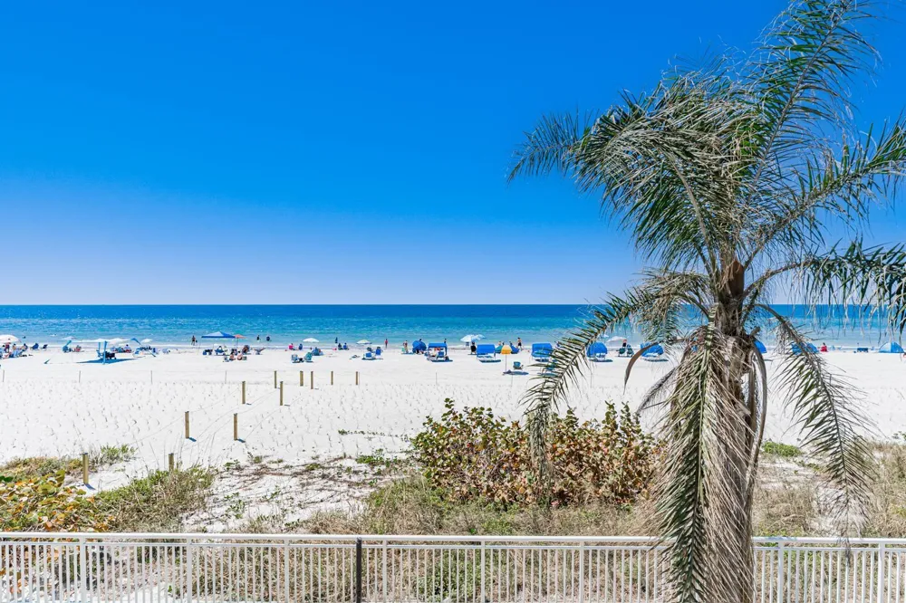 19440 GULF BOULEVARD #105 Indian Shores, FL 33785