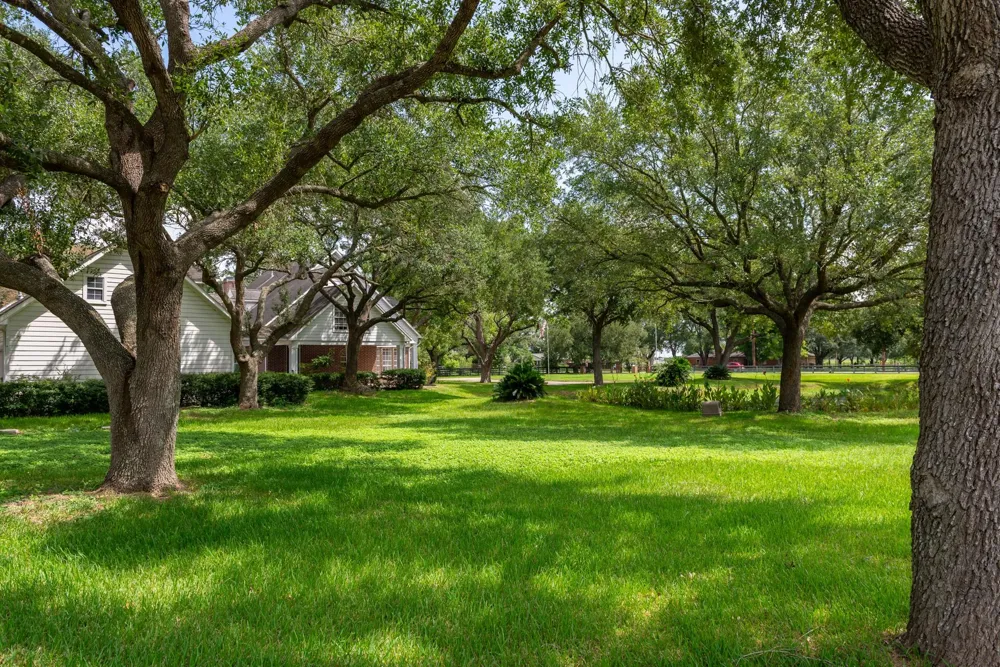 3577 Katy Hockley Road Katy, TX 77493