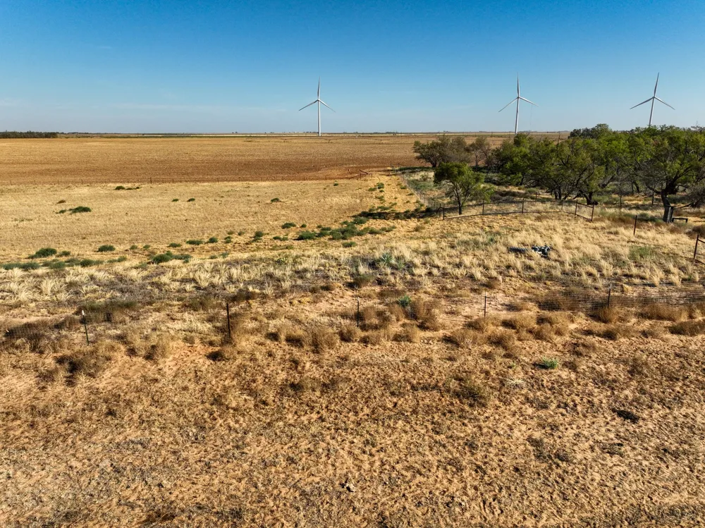750 FM 2229 No City, TX 79529