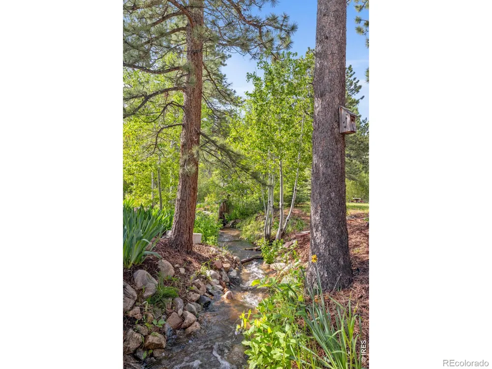 428 Rustic Road Bellvue, CO 80512