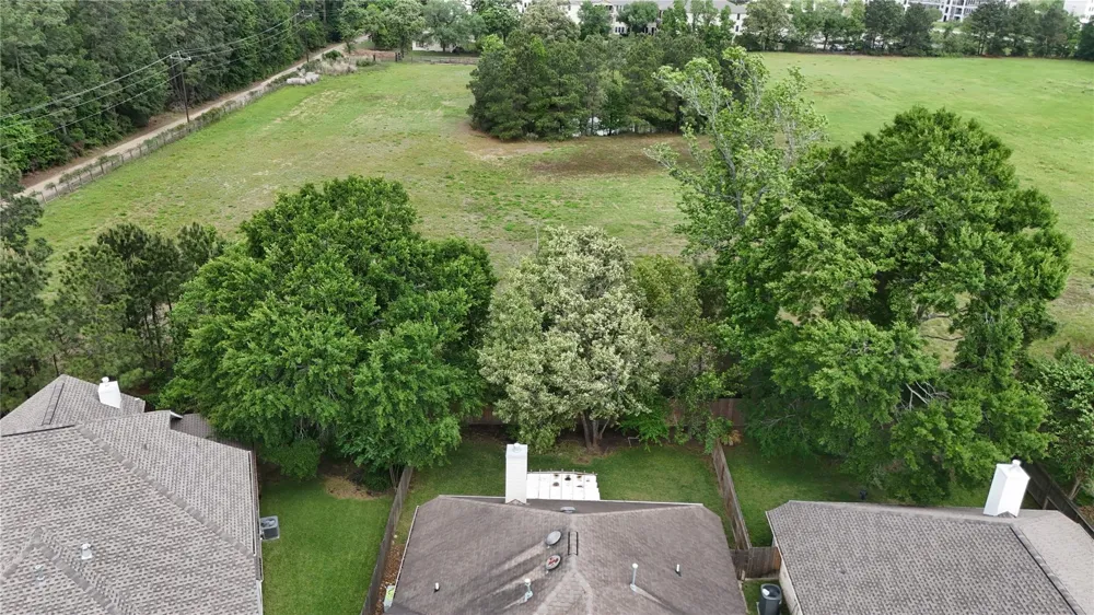 15234 Scenic Forest Drive Conroe, TX 77384