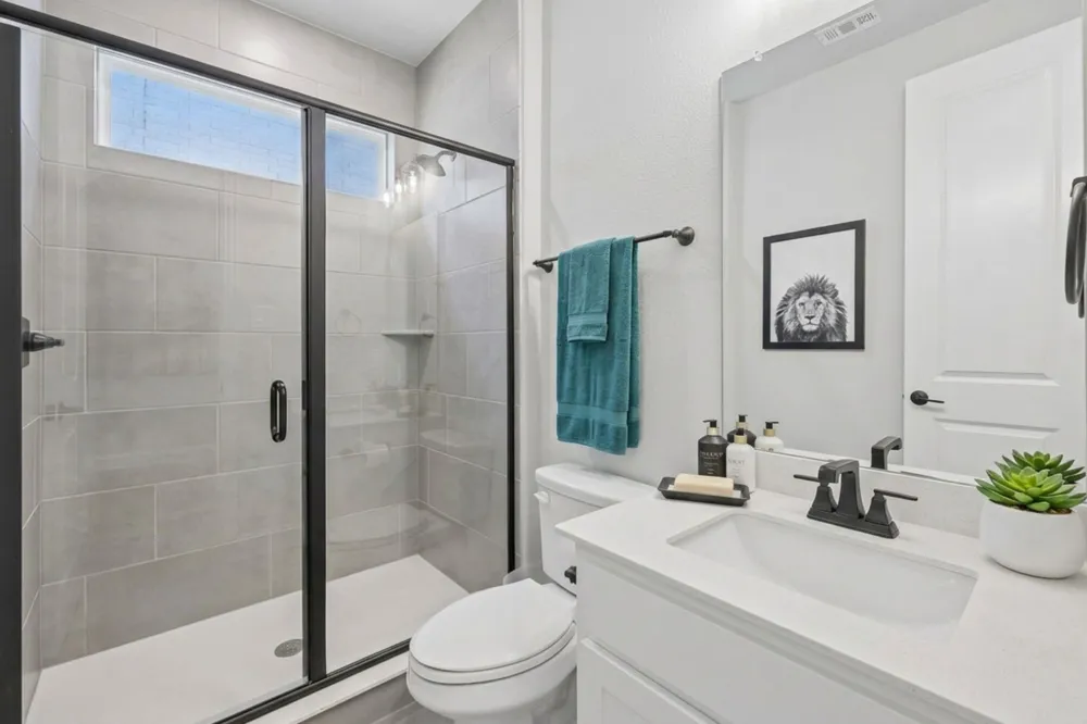 3709 Damsel MacKenzie Lewisville, TX 75056