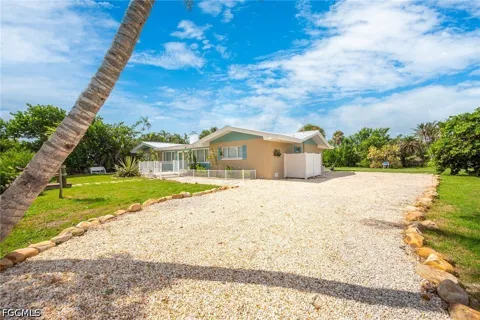 Pine Tree Drive