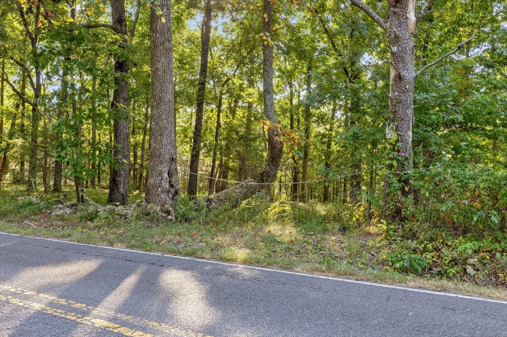 Yankee Road Trenton, GA 30752
