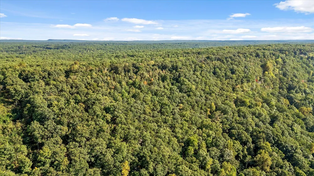 Yankee Road Trenton, GA 30752