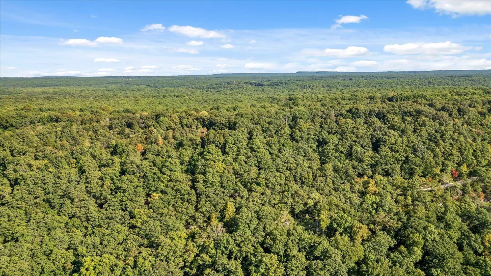 Yankee Road Trenton, GA 30752