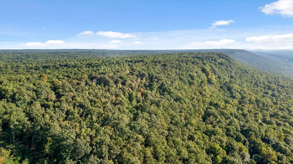 Yankee Road Trenton, GA 30752