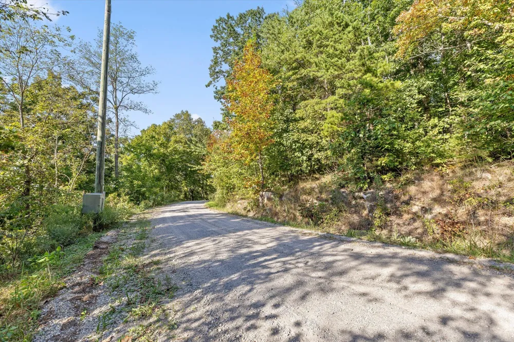 Yankee Road Trenton, GA 30752