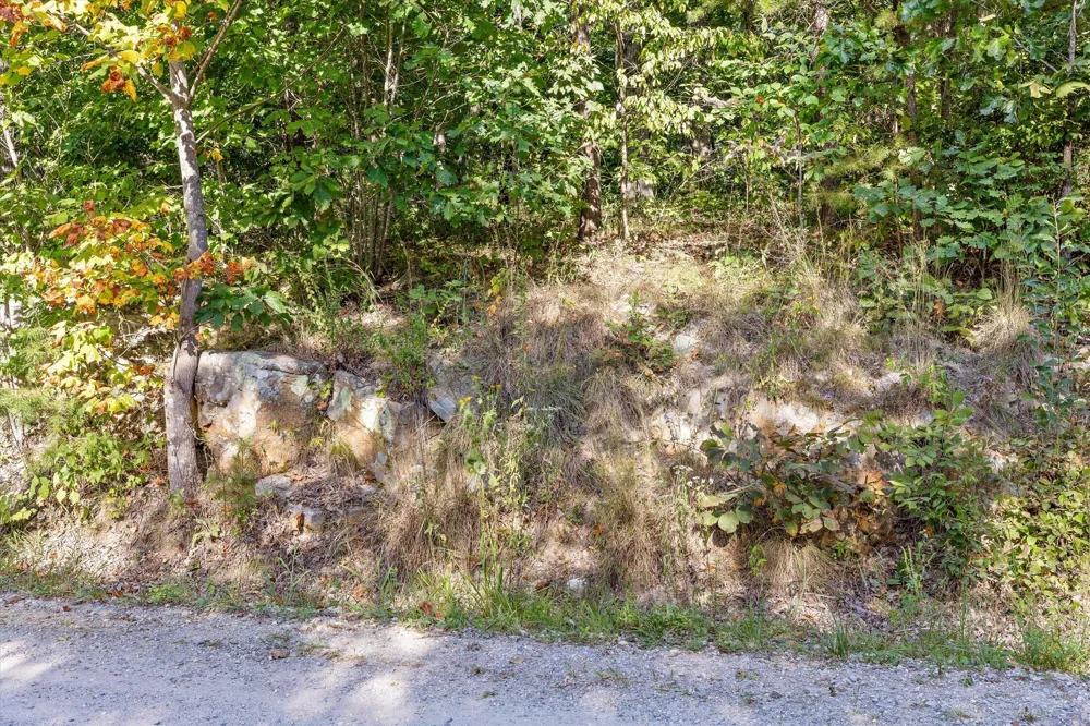Yankee Road Trenton, GA 30752