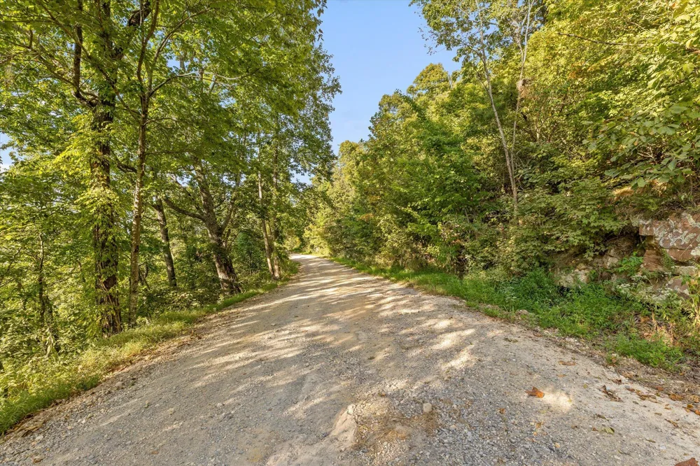 Yankee Road Trenton, GA 30752