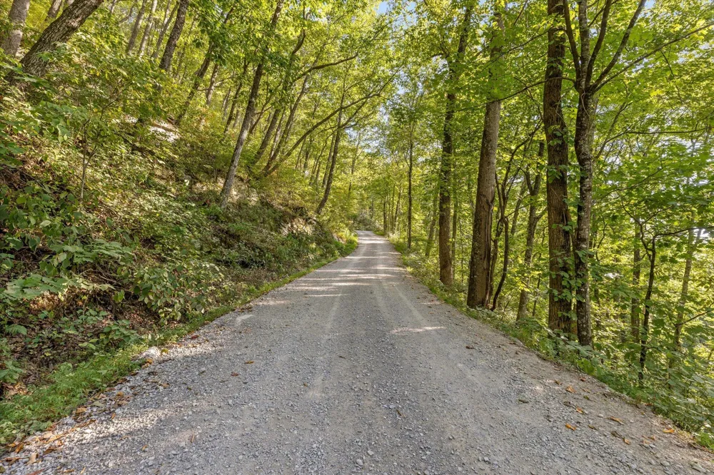 Yankee Road Trenton, GA 30752