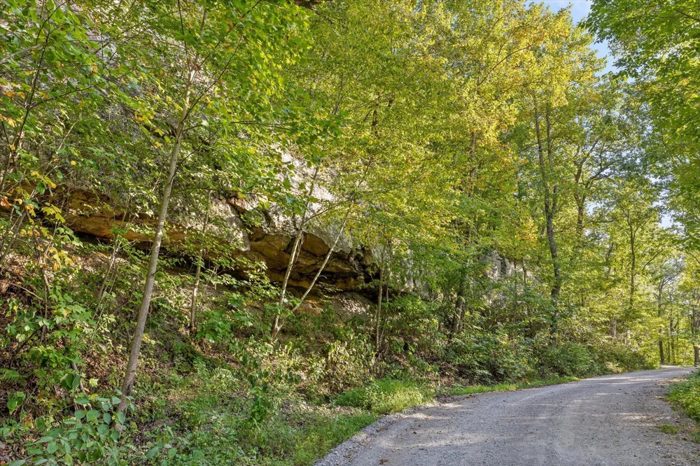 Yankee Road Trenton, GA 30752