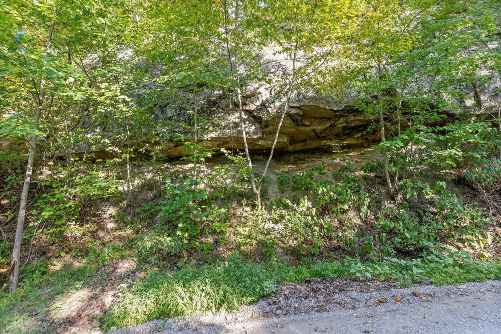 Yankee Road Trenton, GA 30752