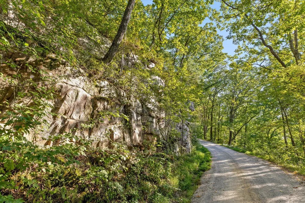 Yankee Road Trenton, GA 30752