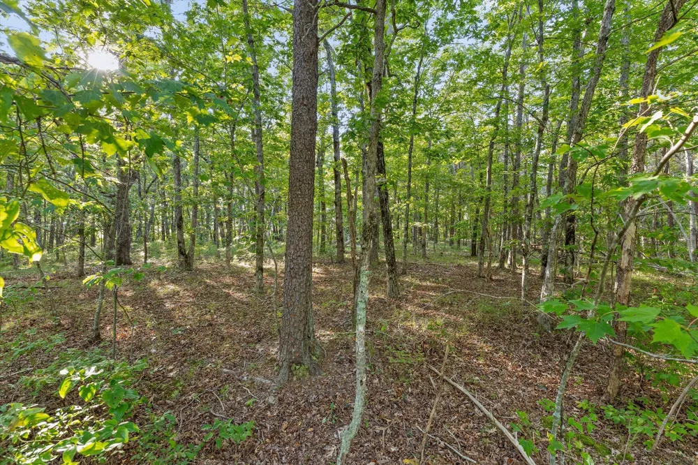 Yankee Road Trenton, GA 30752