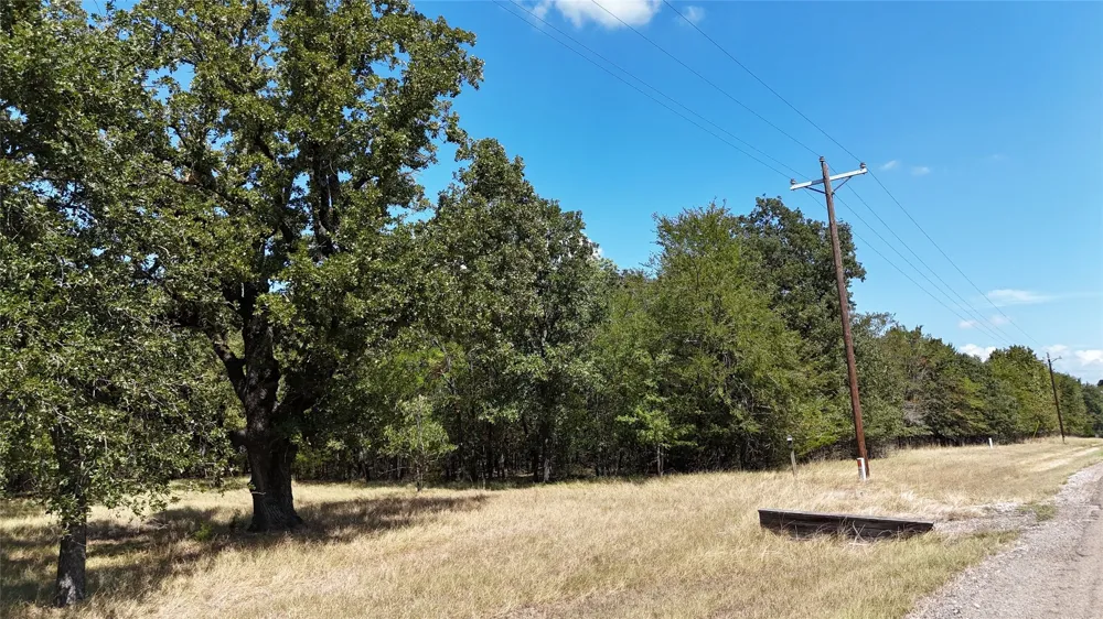 Loper Circle Streetman, TX 75859