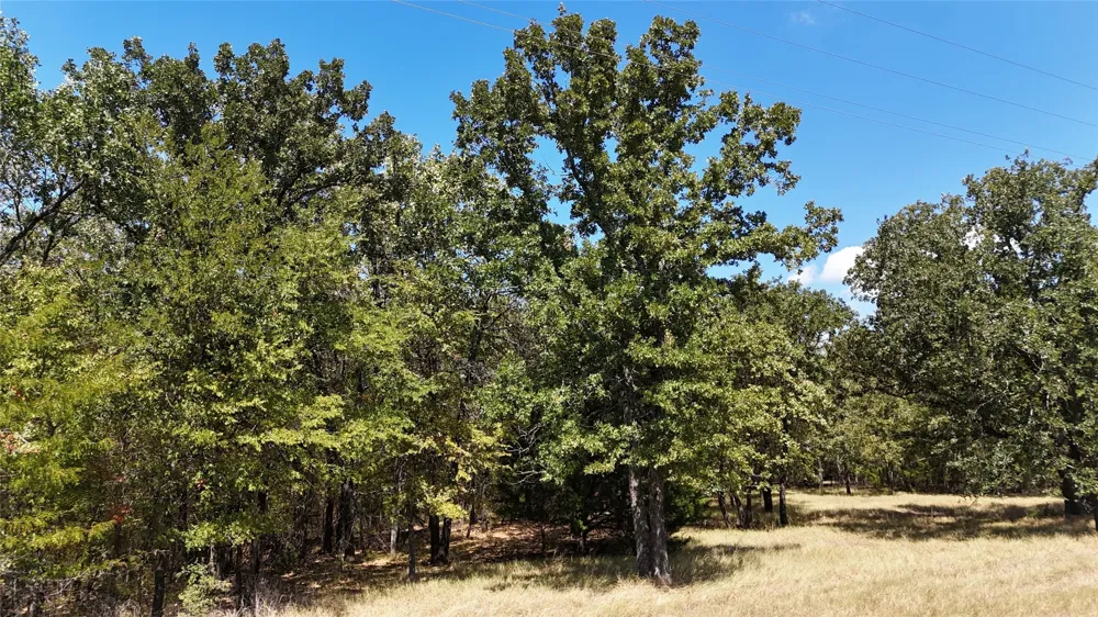 Loper Circle Streetman, TX 75859