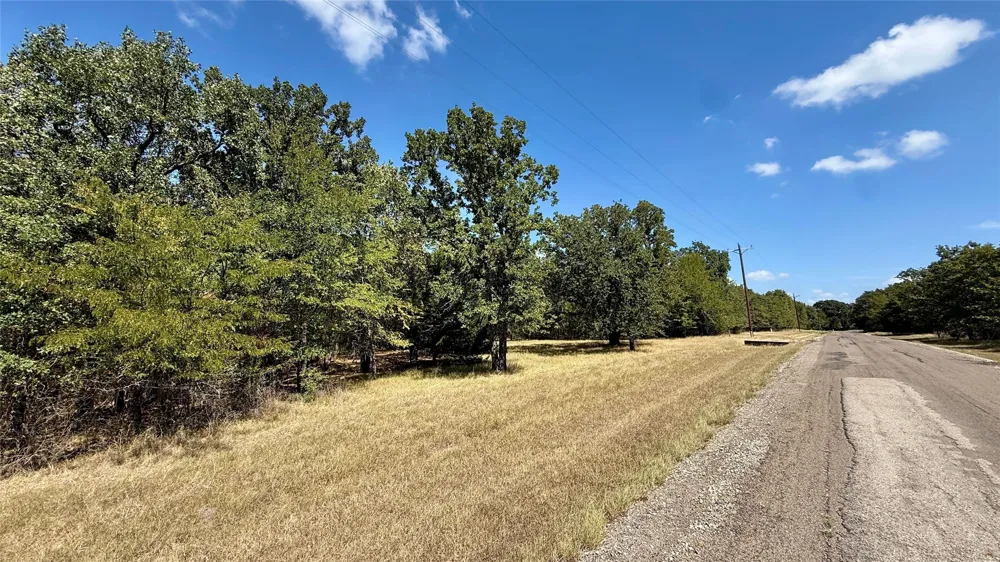 Loper Circle Streetman, TX 75859