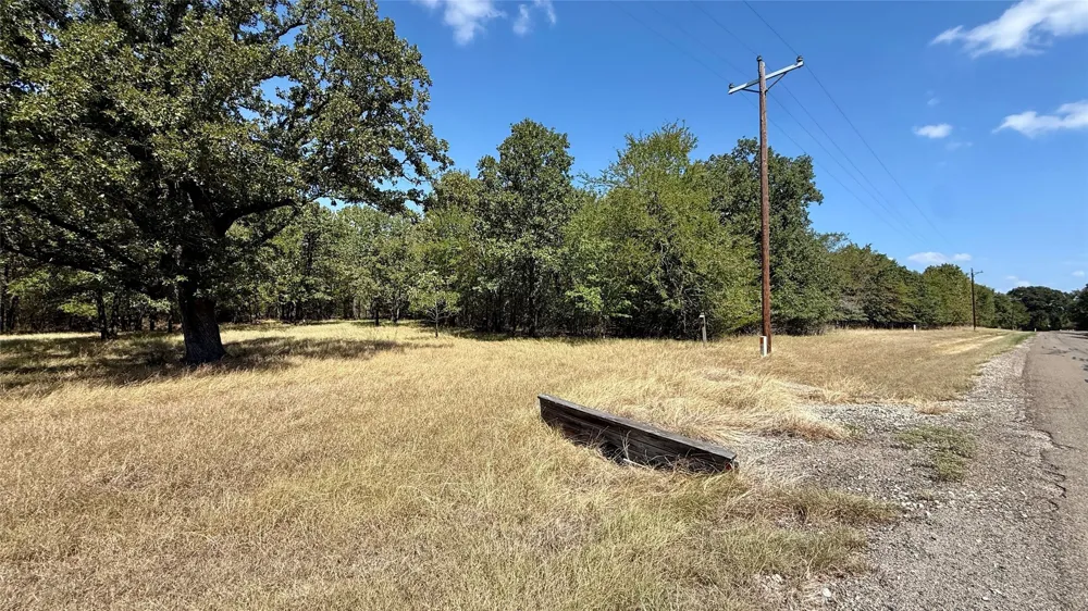 Loper Circle Streetman, TX 75859