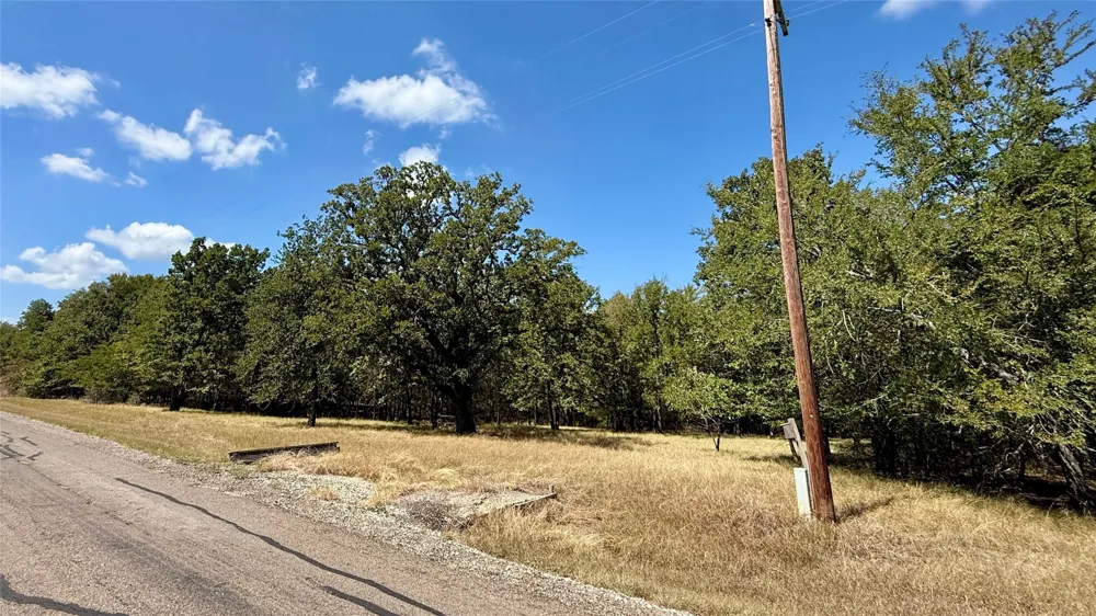 Loper Circle Streetman, TX 75859