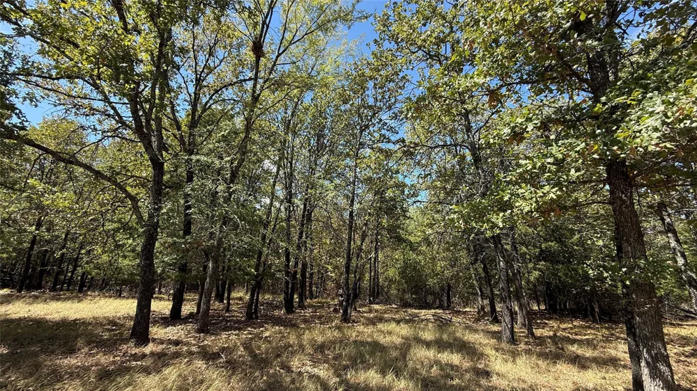 Loper Circle Streetman, TX 75859