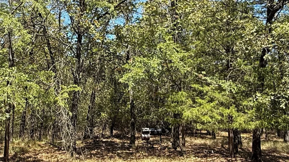 Loper Circle Streetman, TX 75859