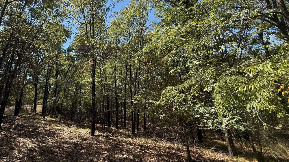 Loper Circle Streetman, TX 75859