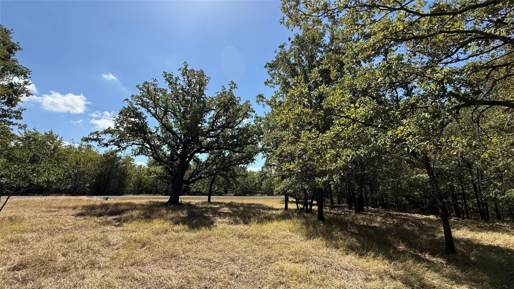 Loper Circle Streetman, TX 75859