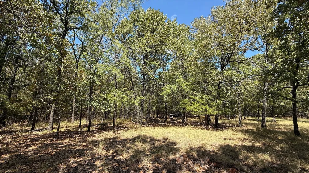 Loper Circle Streetman, TX 75859