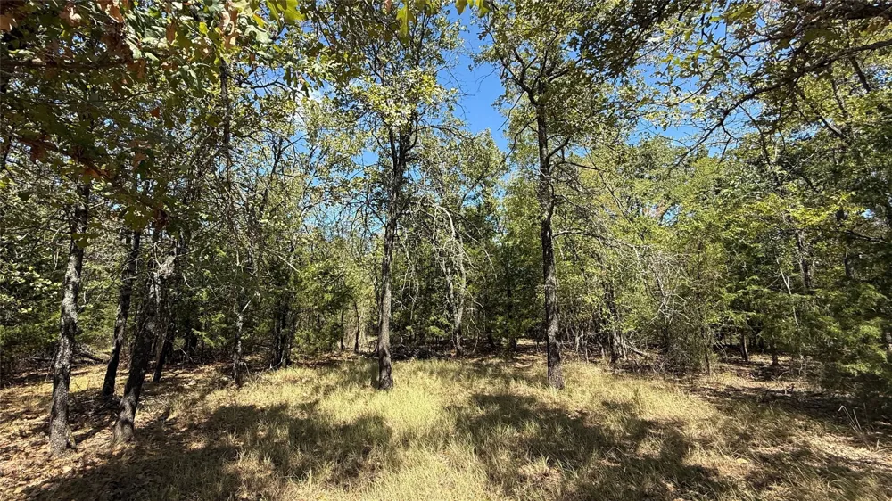 Loper Circle Streetman, TX 75859