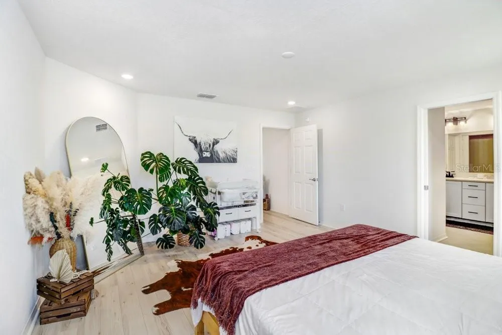 12277 CYPRESS BRANCH STREET Riverview, FL 33579