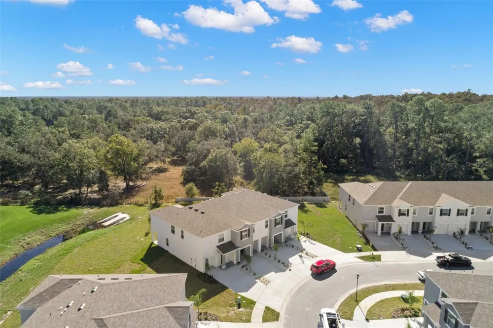 1393 COLT CREEK PLACE Wesley Chapel, FL 33543