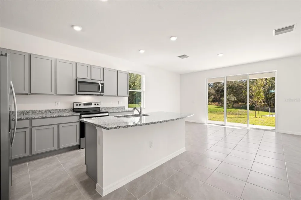 1393 COLT CREEK PLACE Wesley Chapel, FL 33543