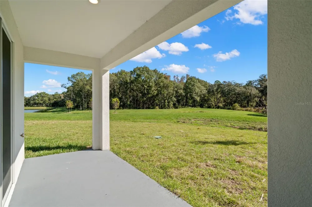 1393 COLT CREEK PLACE Wesley Chapel, FL 33543