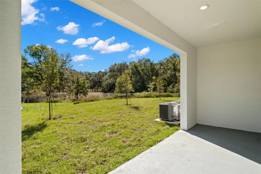 1393 COLT CREEK PLACE Wesley Chapel, FL 33543