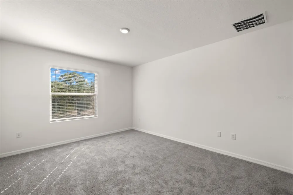 1393 COLT CREEK PLACE Wesley Chapel, FL 33543