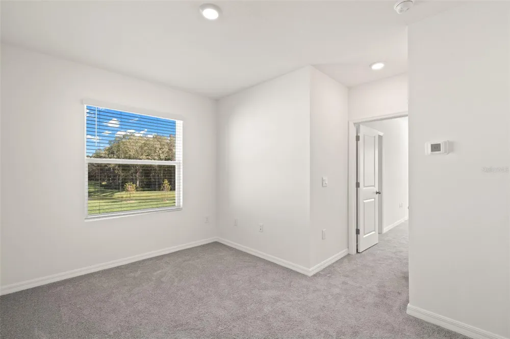 1393 COLT CREEK PLACE Wesley Chapel, FL 33543