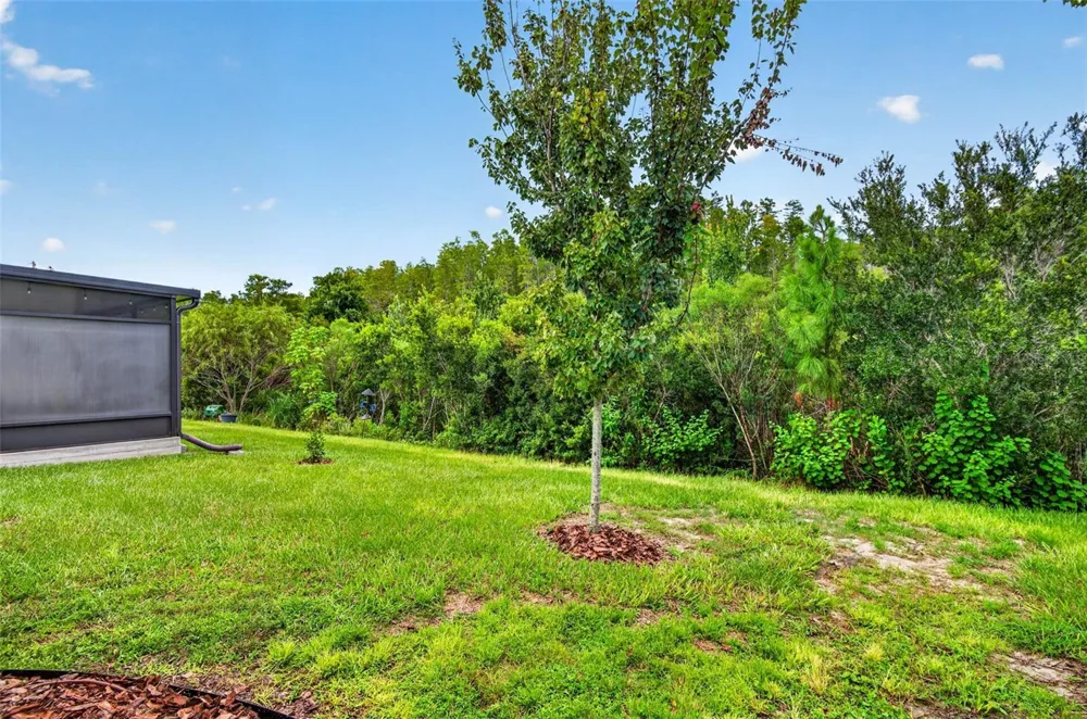 18333 TURNING LEAF CIRCLE Land O Lakes, FL 34638