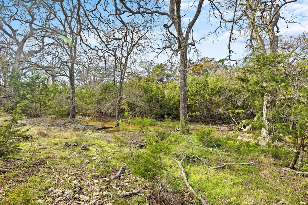 262 Beauchamp Road Dripping Springs, TX 78620