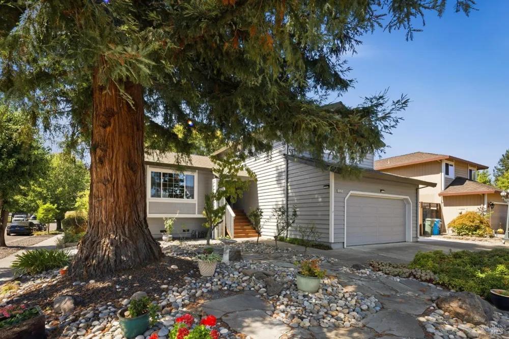 3535 Banyan Street Santa Rosa, CA 95403