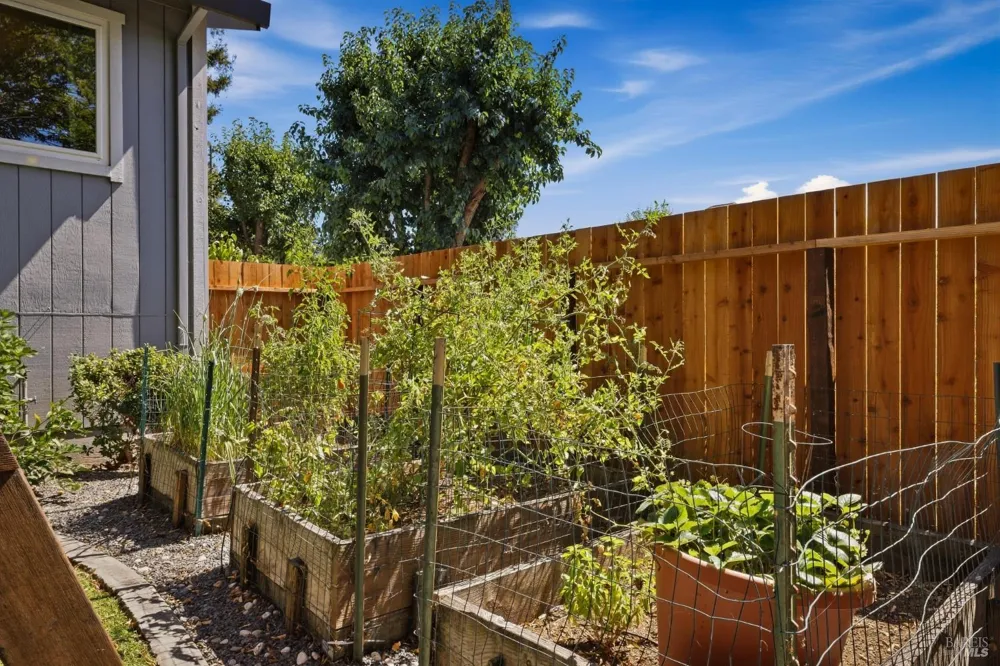 3535 Banyan Street Santa Rosa, CA 95403