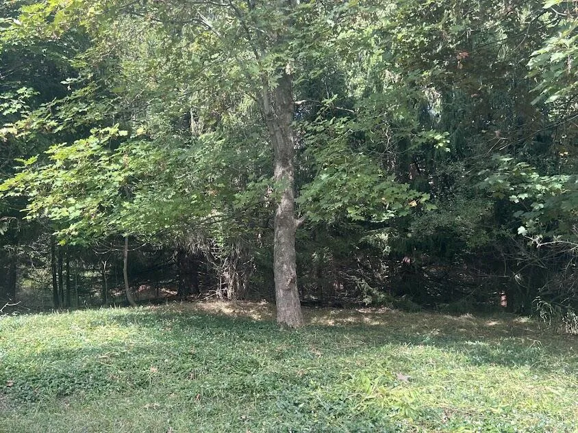 4364 N. Stiles Road Victory Township, MI 49454