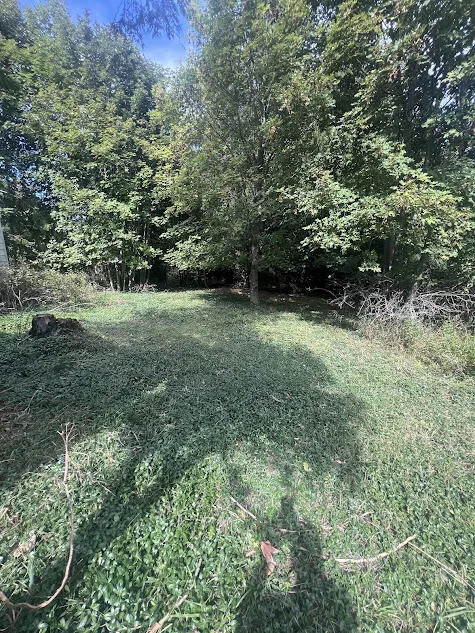 4364 N. Stiles Road Victory Township, MI 49454